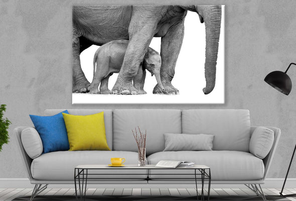 Elephant & Calf B&W Photograph Print 100% Australian Made