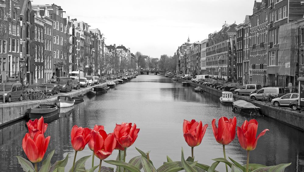 B&W City View with Canal & Red Flowers Photograph Print 100% Australian Made