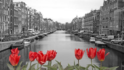 Tulip Flowers & City Canal B&W Photograph Home Decor Premium Quality Poster Print Choose Your Sizes