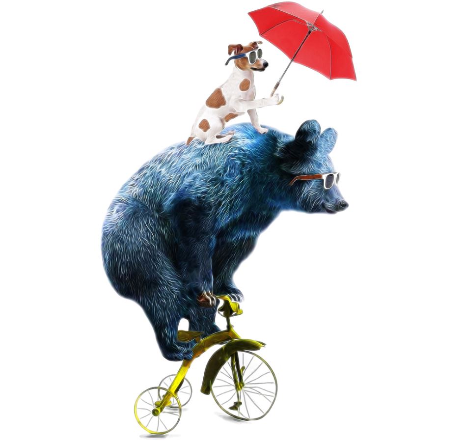 Bear & Dog Riding Tricycle Painting Print 100% Australian Made