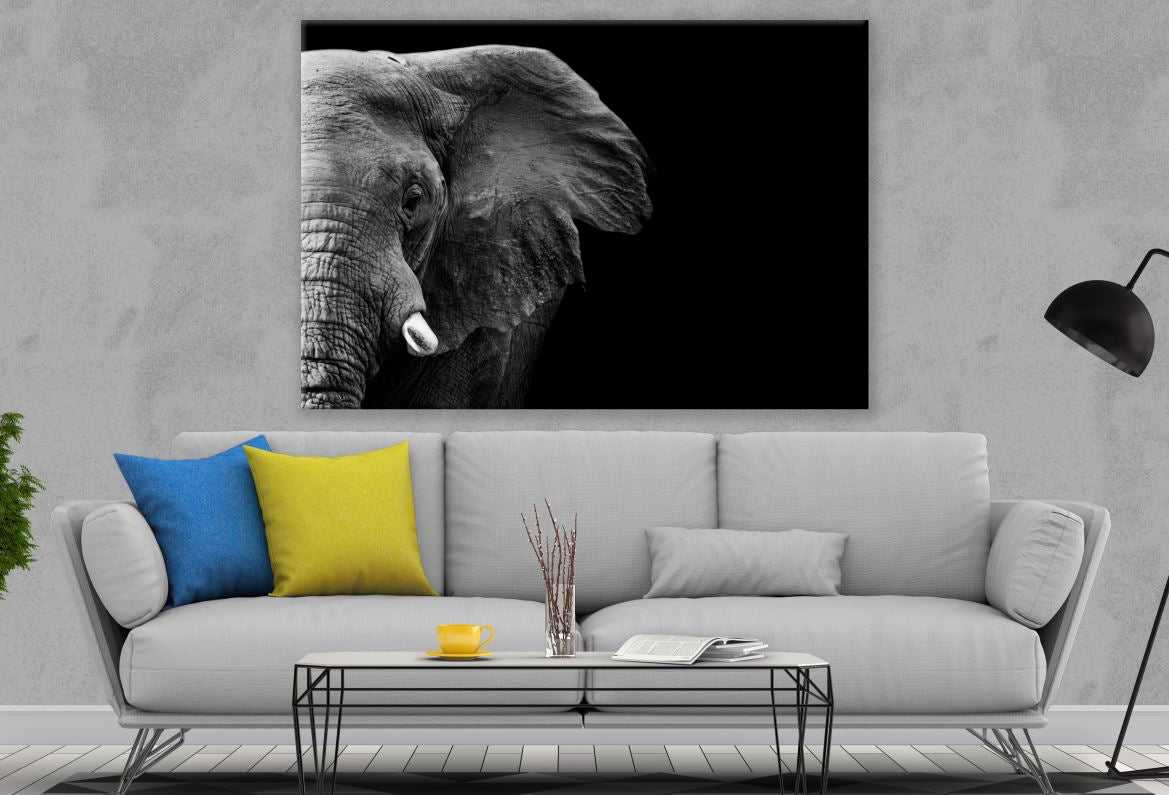 Elephant Portrait Black & White Photograph Print 100% Australian Made