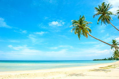 Bella Home Palms & Beach With The Sky Print Canvas Ready to hang