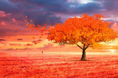 Bella Home Fantasy Red Autumn Tree Photograph Print Canvas Ready to hang