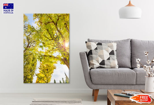 Yellow Leaves Tree & Bark View Photograph Print 100% Australian Made