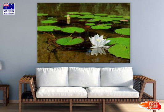 White Water Lily Flower Photograph Print 100% Australian Made