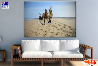 Horses in Beach Closeup Photograph Print 100% Australian Made