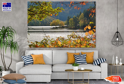 Autumn Tree Branched Near River Photograph Print 100% Australian Made