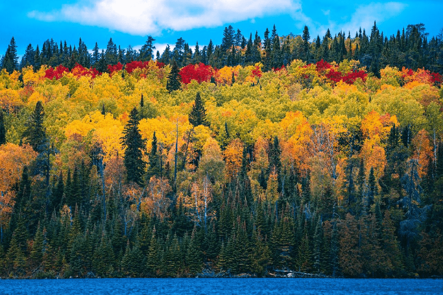 Lake with Autumn Foliage and Mountains Photograph Print 100% Australian Made