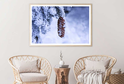 Snow Covered Pine Cone Photograph Home Decor Premium Quality Poster Print Choose Your Sizes