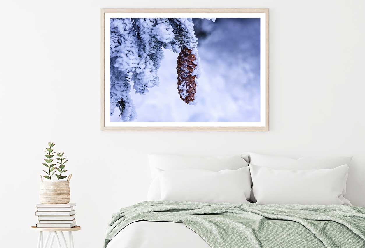 Snow Covered Pine Cone Photograph Home Decor Premium Quality Poster Print Choose Your Sizes