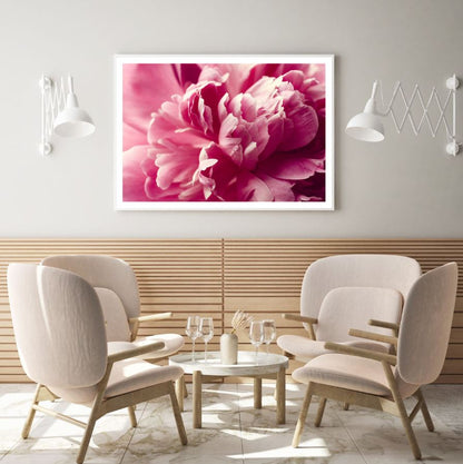 Pink Peony Flower Photograph View Home Decor Premium Quality Poster Print Choose Your Sizes