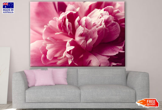 Rose Flower Close up Photograph Print 100% Australian Made