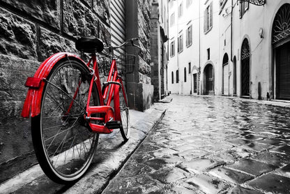 Red Bicycle in B&W Street Scenery Home Decor Premium Quality Poster Print Choose Your Sizes