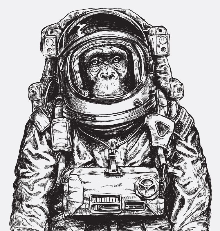 Monkey in a Space Suit Drawing Print 100% Australian Made