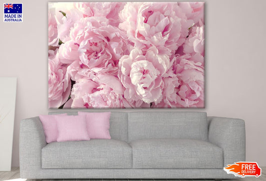 Pink Flowers Closeup Photograph Print 100% Australian Made