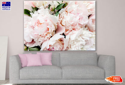 Pink Flower Closeup Photograph Print 100% Australian Made