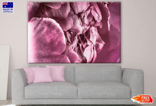 Pink Flower Closeup Photograph Print 100% Australian Made