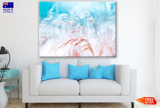 Flower Closeup Photograph Print 100% Australian Made