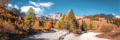 Panoramic Canvas Autumn Trees & Hill Scenery Photograph High Quality 100% Australian Made Wall Canvas Print Ready to Hang