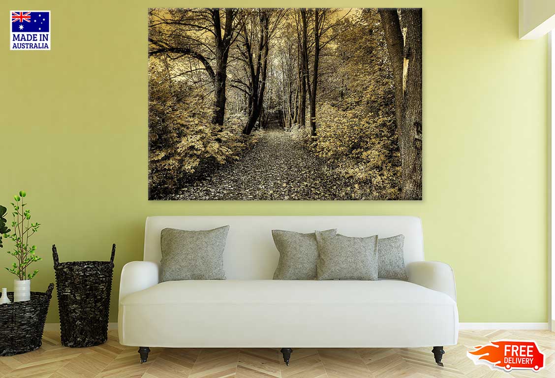 Footpath in Forest B&W Photograph Print 100% Australian Made