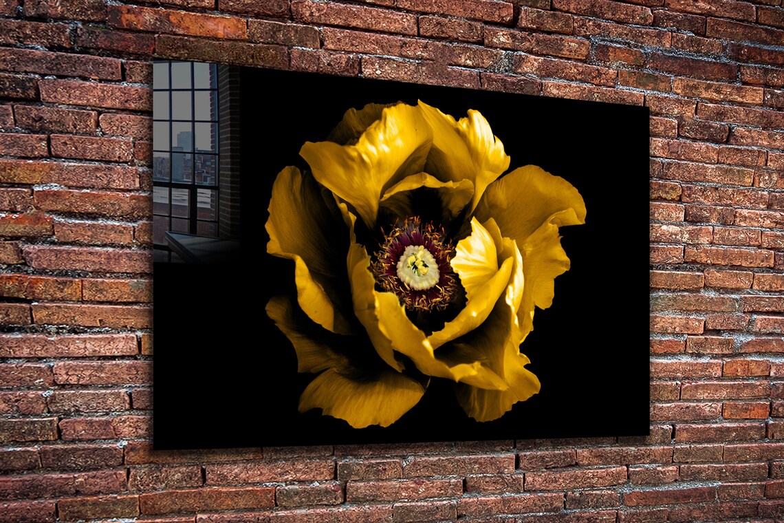 Yellow Flower Closeup Print Tempered Glass Wall Art 100% Made in Australia Ready to Hang