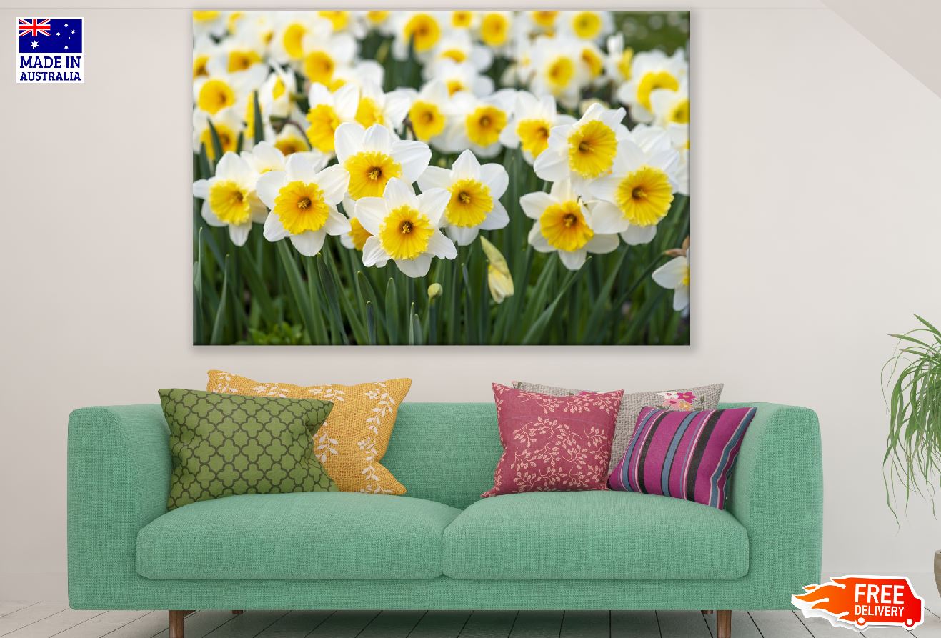 White Yellow Spring Flowers Photograph Print 100% Australian Made