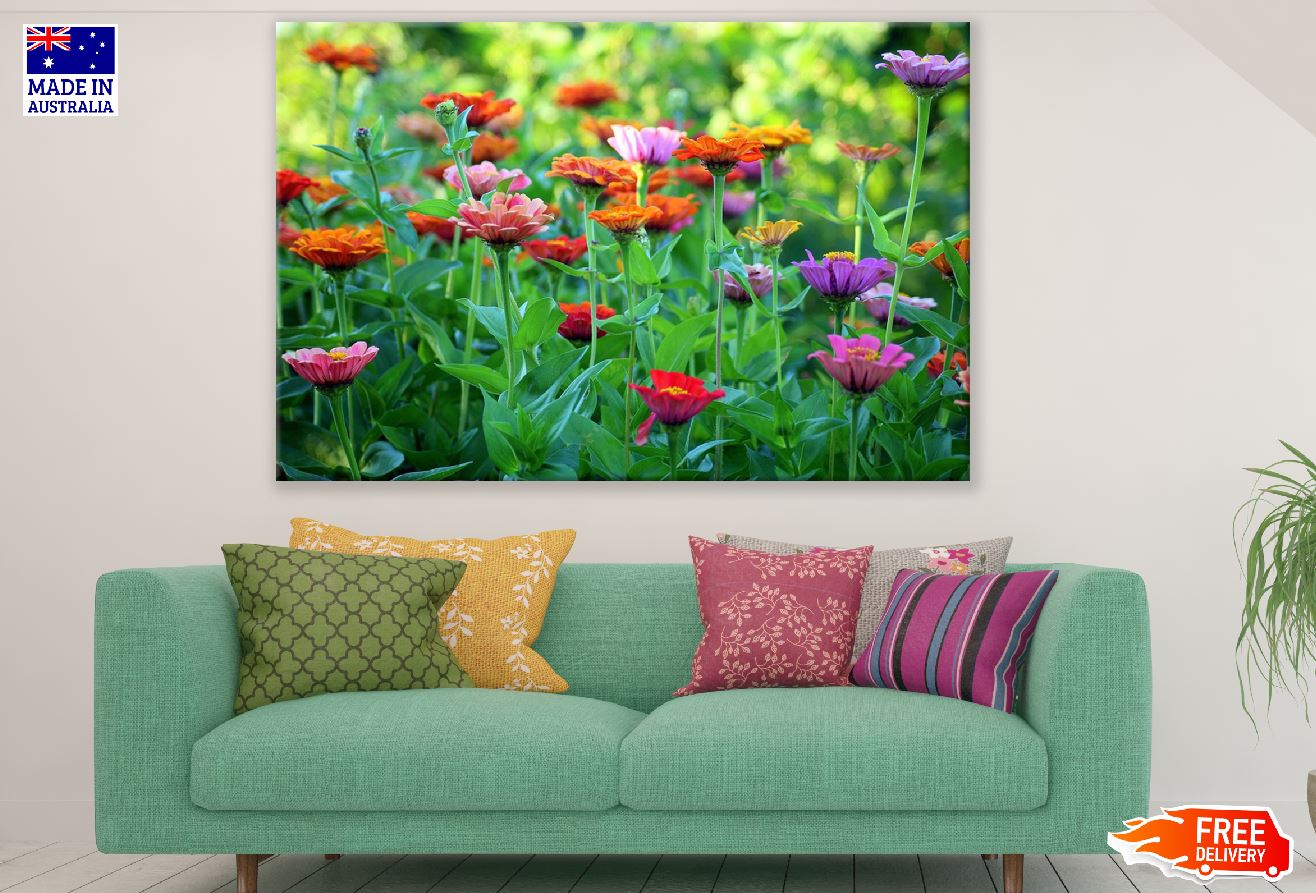 Colorful Zinnia Flower Field Photograph Print 100% Australian Made