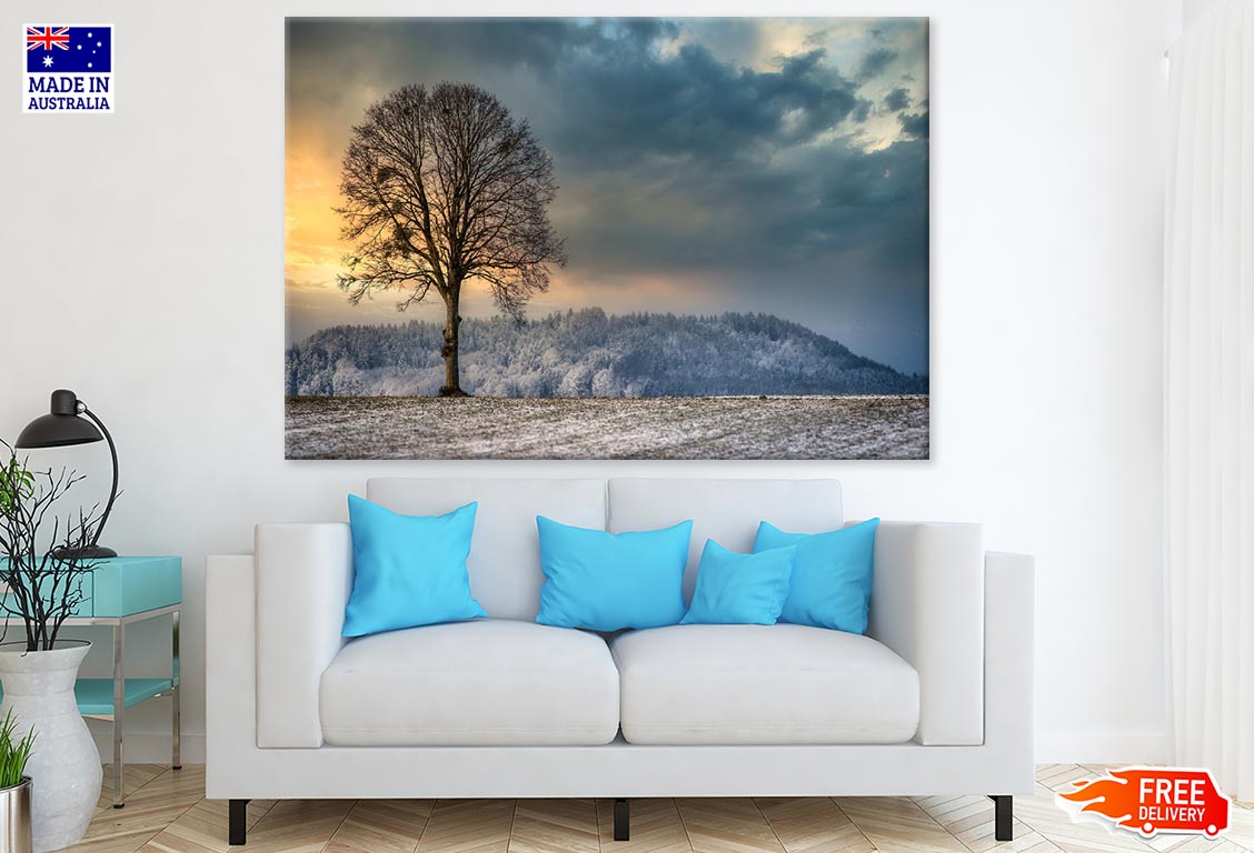 Tree Without Leaves on Snow Covered Field Photograph Print 100% Australian Made