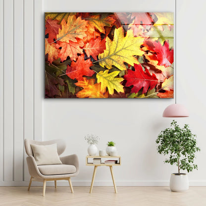 Autumn Tree Leaves Closeup Photograph Acrylic Glass Print Tempered Glass Wall Art 100% Made in Australia Ready to Hang