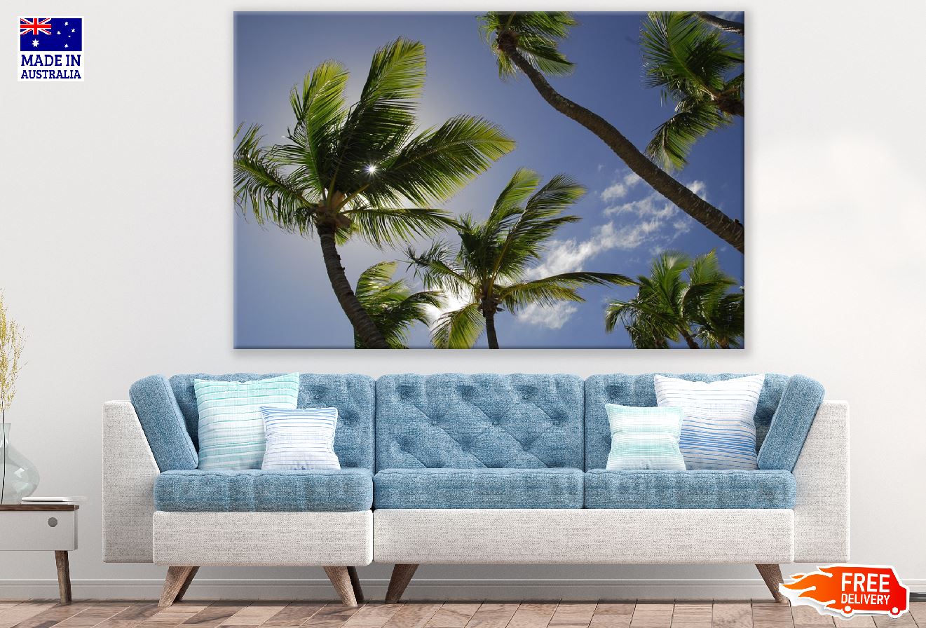 Palm Trees View From Below Photograph Print 100% Australian Made