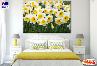 White Yellow Spring Flowers Photograph Print 100% Australian Made