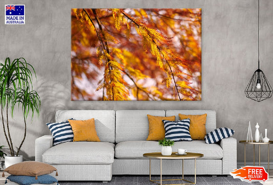 Orange Autumn Tree Leaves View Photograph Print 100% Australian Made