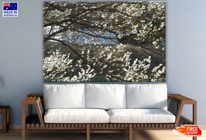 Flower Tree Branch Photograph Print 100% Australian Made