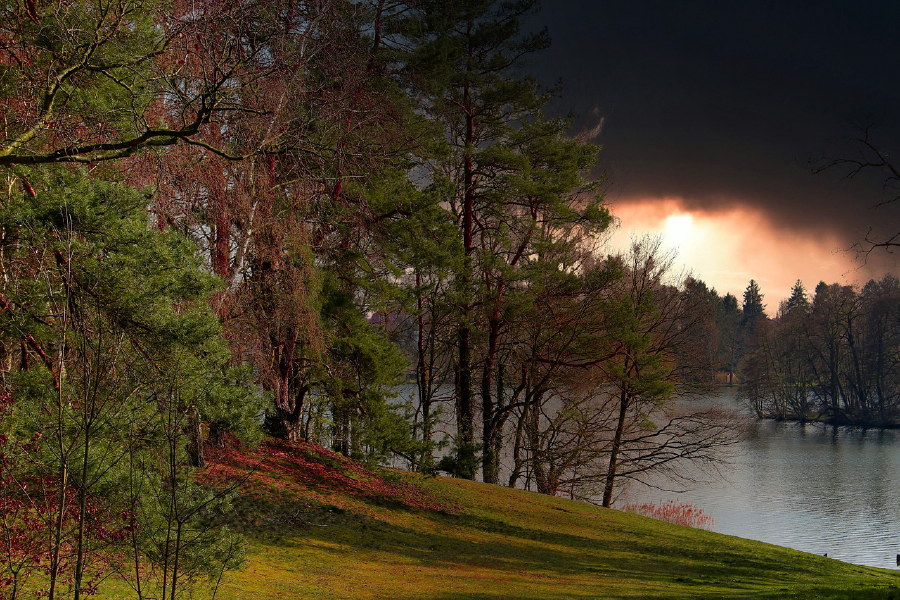 Forest Near River & Dark Sky Photograph Print 100% Australian Made