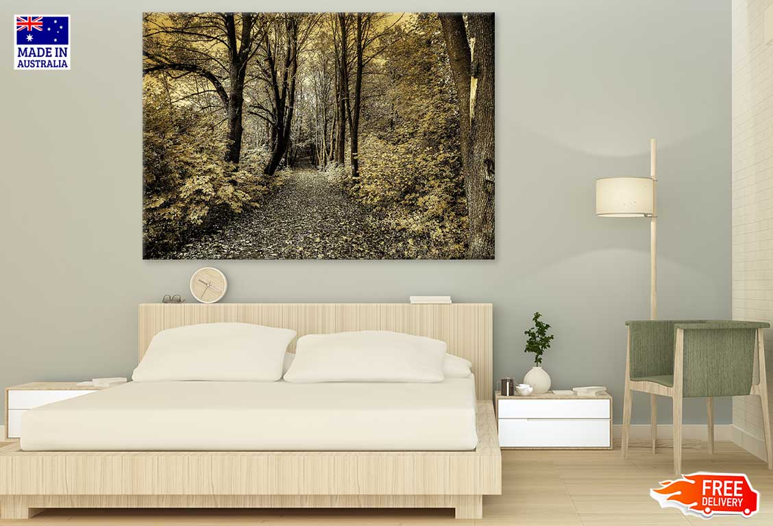 Footpath in Forest B&W Photograph Print 100% Australian Made