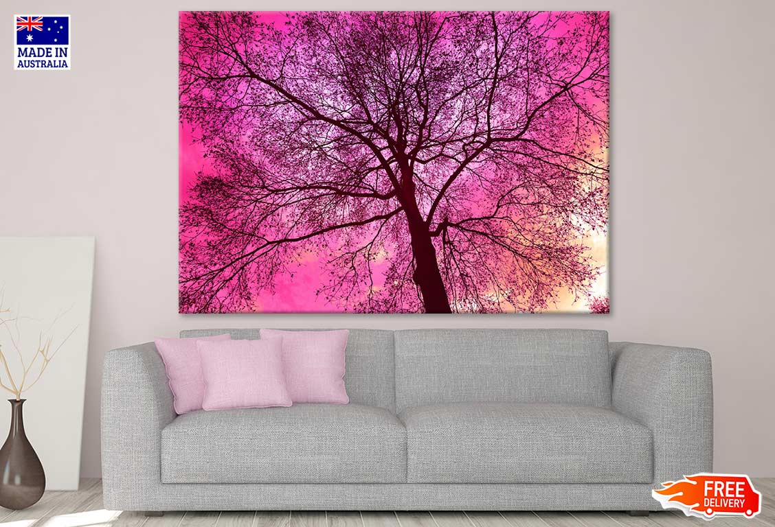 Tree & Pink Sky Photograph Print 100% Australian Made