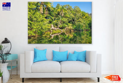 Palm Trees & Forest Near Lake Photograph Print 100% Australian Made