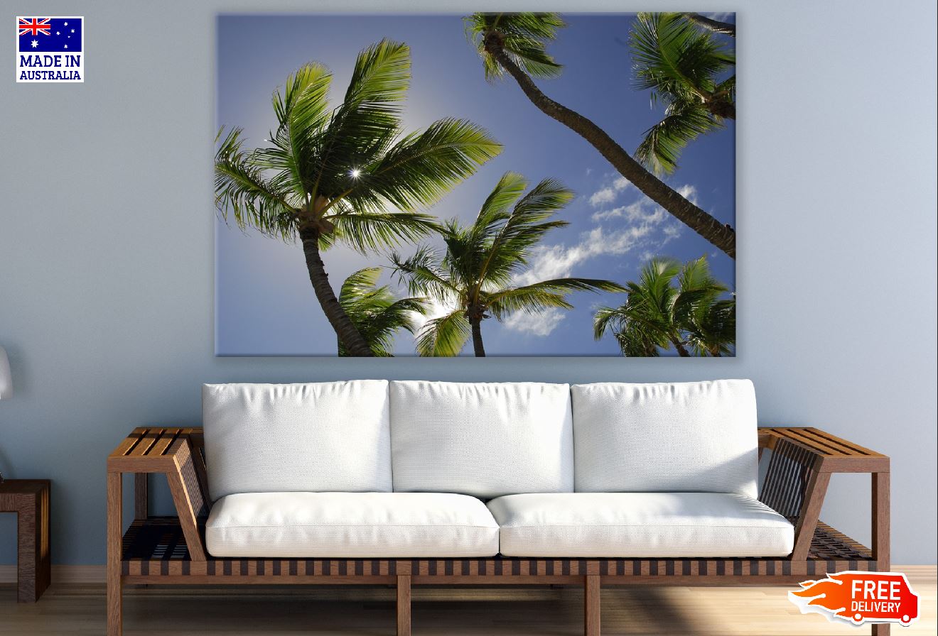 Palm Trees View From Below Photograph Print 100% Australian Made