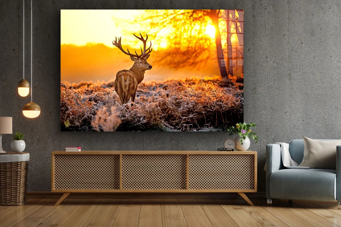 Deer on Forest Sunset Print Tempered Glass Wall Art 100% Made in Australia Ready to Hang