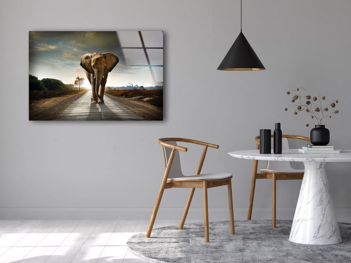 Elephant Walking on The Road Photograph Acrylic Glass Print Tempered Glass Wall Art 100% Made in Australia Ready to Hang