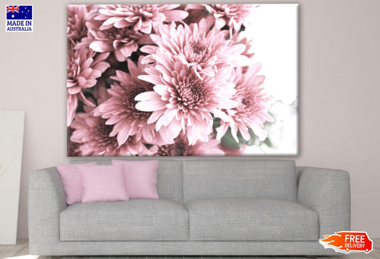 Pink Flower Closeup Photograph Print 100% Australian Made