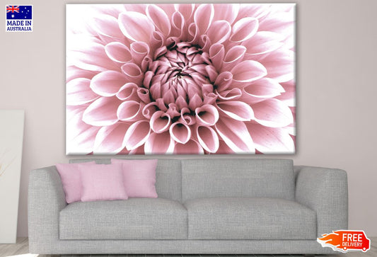 Pink Flower Closeup Photograph Print 100% Australian Made