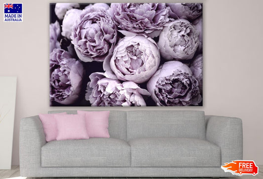 Purple Peony Flowers Photograph Print 100% Australian Made