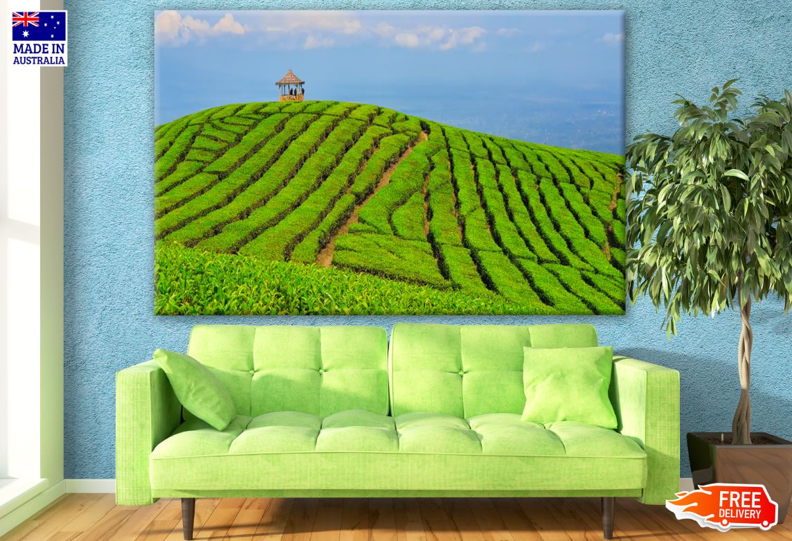 Stunning Fields View Print 100% Australian Made