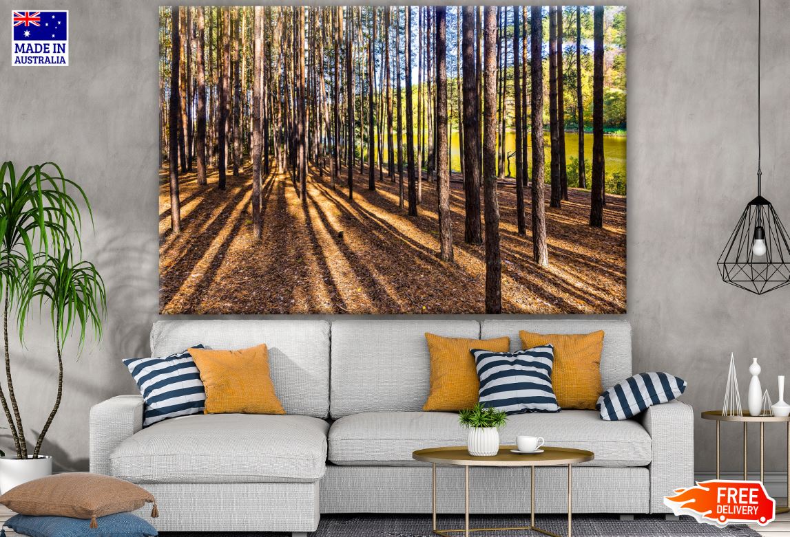 Stunning Deep Forest Photograph Print 100% Australian Made