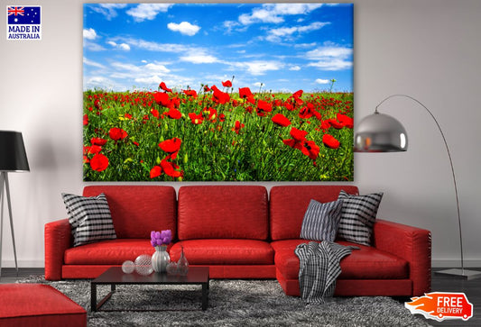 Red Flower Field Photograph Print 100% Australian Made