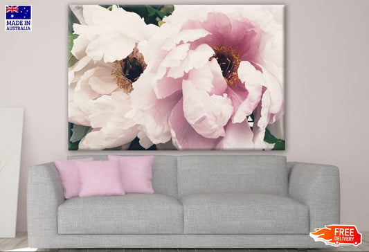 Flower Closeup Photograph Print 100% Australian Made