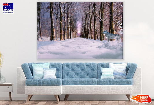 Snow Trees wih Wolf & Pathway Photograph Print 100% Australian Made