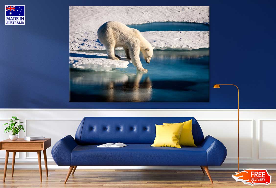 Polar Bear on Melting Ice Cap Photograph Print 100% Australian Made