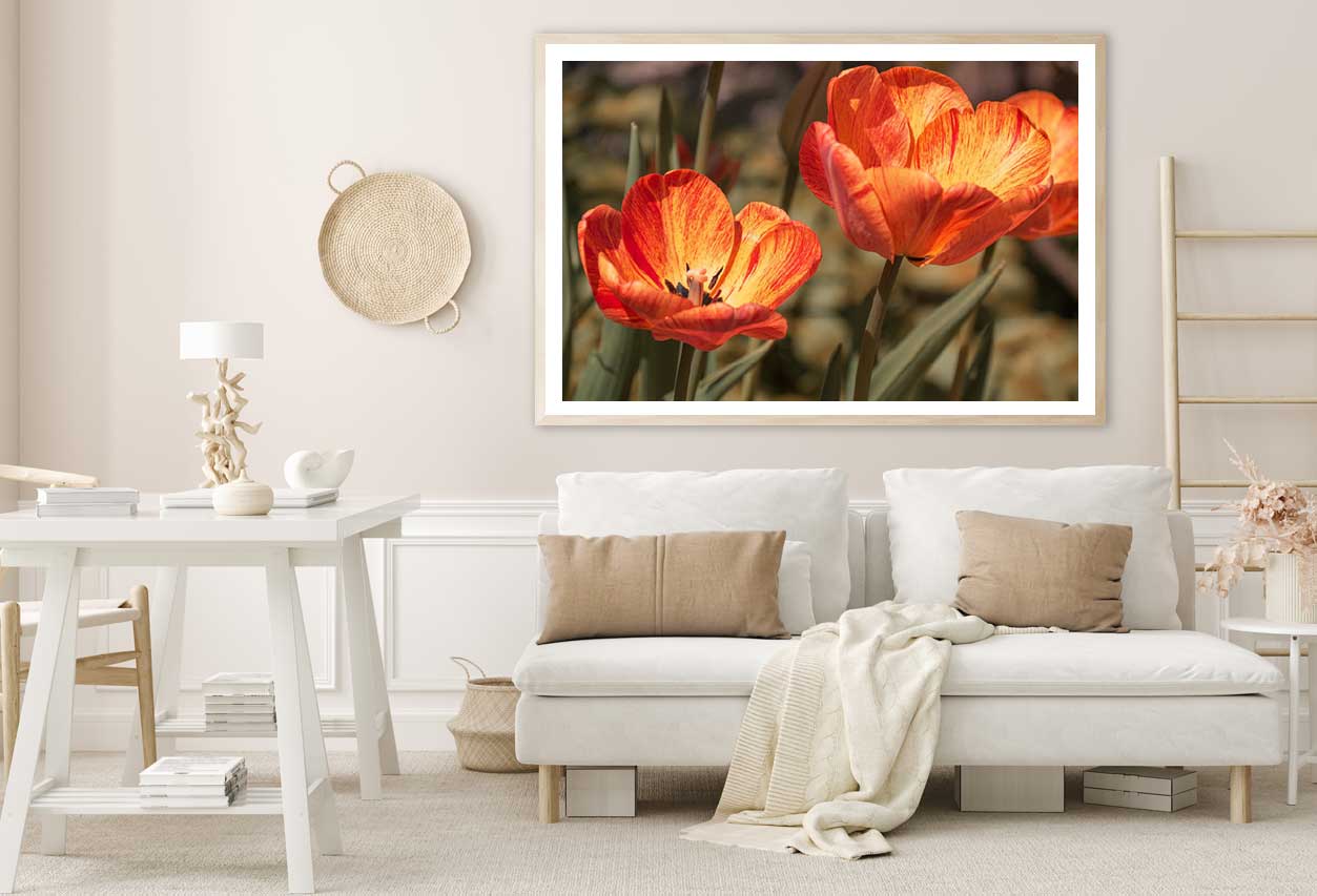 Orange Tulips with Leaves View Home Decor Premium Quality Poster Print Choose Your Sizes